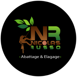 Logo Nicolas Russo
